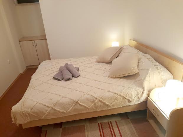 Apartmani Delas ペシュチャーナ・ウヴァラ エクステリア 写真
